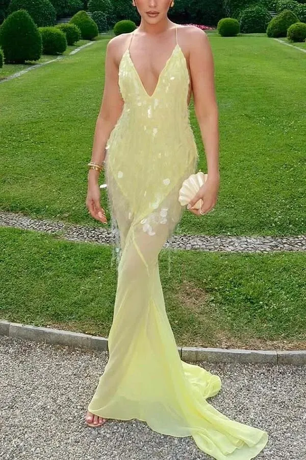 Perfect Night Sequin Embroidery Backless Drape Tulle Hem Slip Maxi Dress