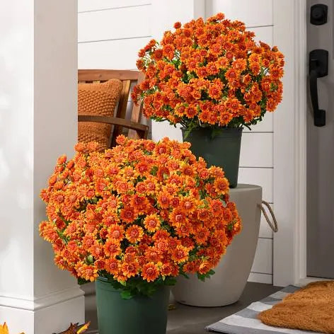 💥Last Day Each Only $2.59- Artificial Outdoor Sunset Mums Flowers - UV resistant. Waterproof. Windproof