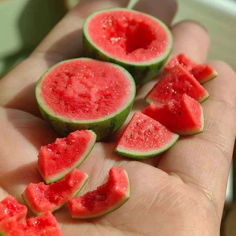 Rare Thumb Watermelon Seed