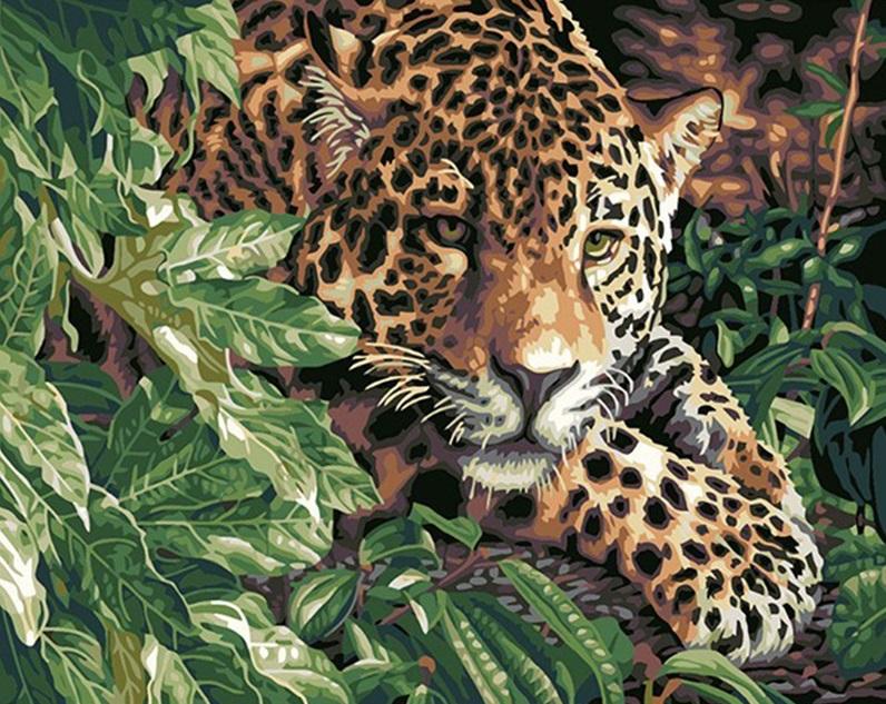 

Leopard – Paint By Numbers - 40*50CM, 501 Original