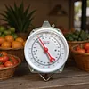 Fish Scales with 2 Hooks Mechanical Pointer Hook Scale Practical Handheld Scale