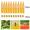 20Pcs Fruit Fly Traps with Attractant Liquid Orchard Plastic Pest Insect Catcher
