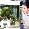 🐠💧 Comprim&eacute; Puissant de Purification de l'Eau pour Aquarium🔥