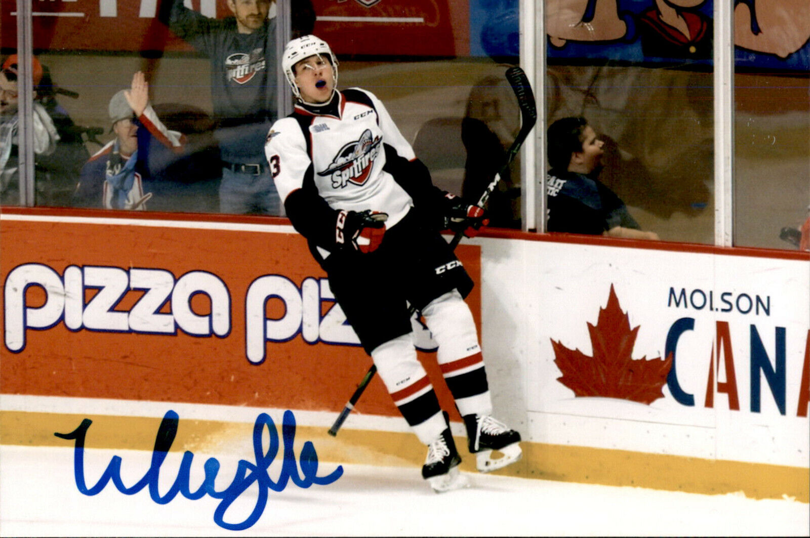 Will Cuylle SIGNED autographed 4x6 Photo Poster painting WINDSOR SPITFIRES / NEW YORK RANGERS