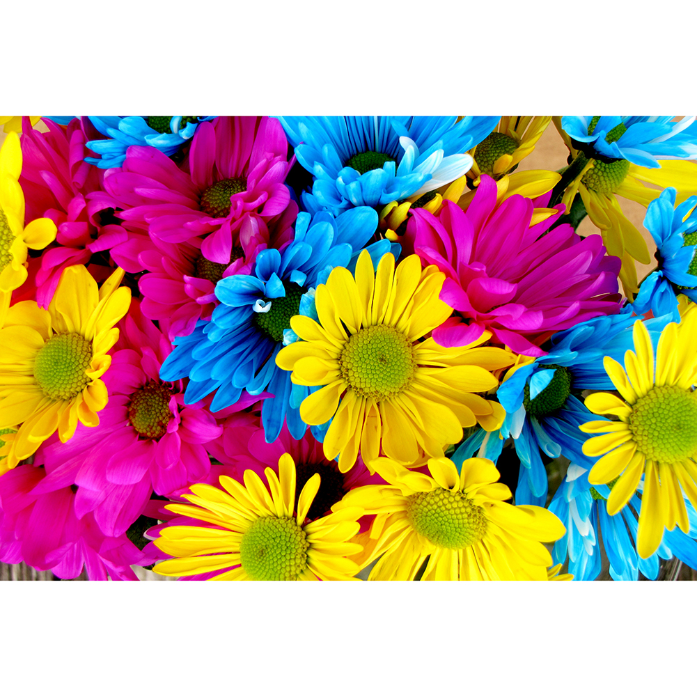 

Colorful Daisy - 1000 Pieces Jigsaw Puzzle, 501 Original