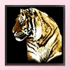 Bead Embroidery - Partial Printed 9CT Tiger(47x45 CM)
