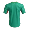 Senegal Away Player Version Jersey World Cup 2026