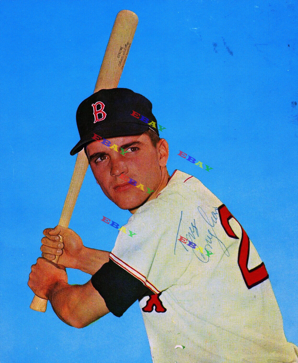 TONY CONIGLIARO RED SOX Signed Autographed 8x10 Photo Poster painting Reprint