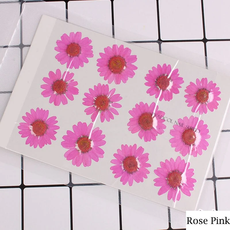 12pcs/lot 3D Nail Art Dried Flowers Acrylic UV Gel Nails Tips Salon Manicure Decoration-Nail Inspo