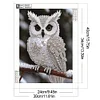 Pearl Owl on Branch-Special Shaped Diamond Painting
