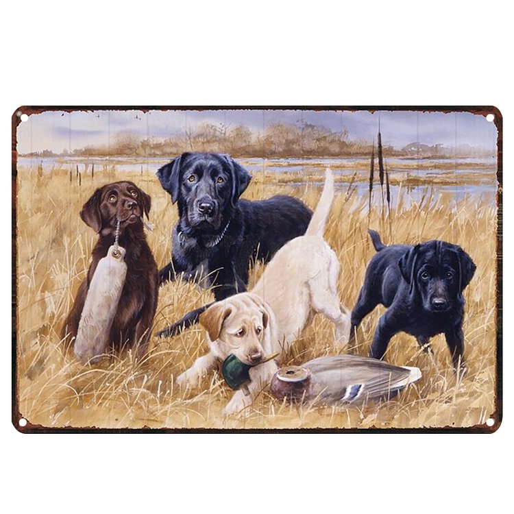 Outdoor Dogs - Vintage Tin Signs/Wooden Signs - 20*30cm/30*40cm