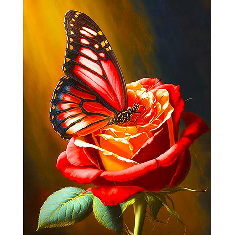 Butterfly - Painting By Numbers - 40*50CM gbfke