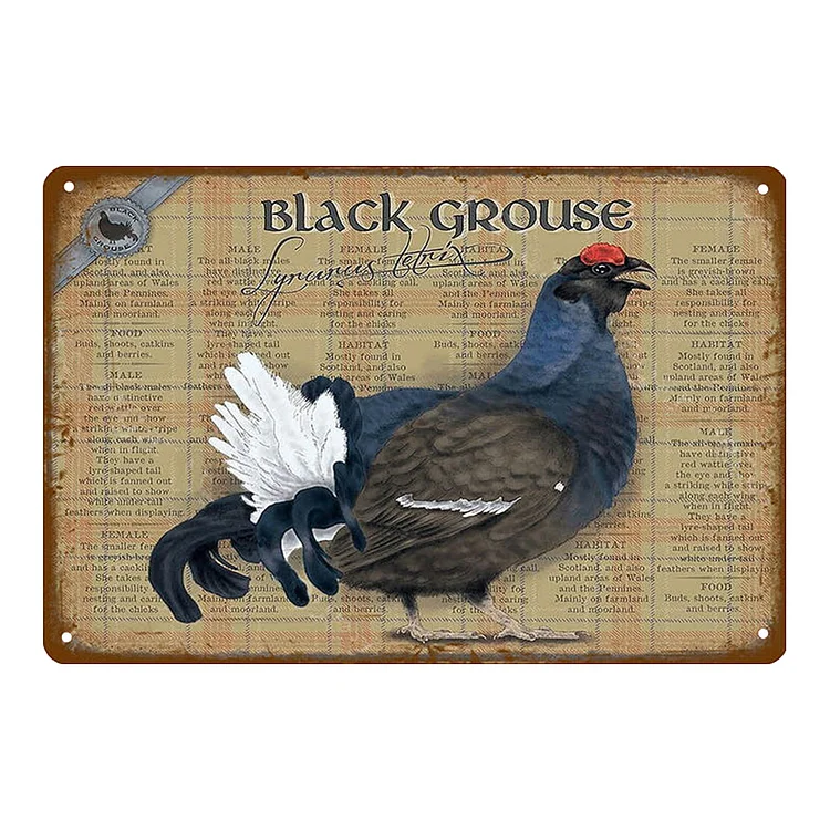Tétras noir - enseignes en étain vintage / enseignes en bois - 7.9x11.8in & 11.8x15.7in