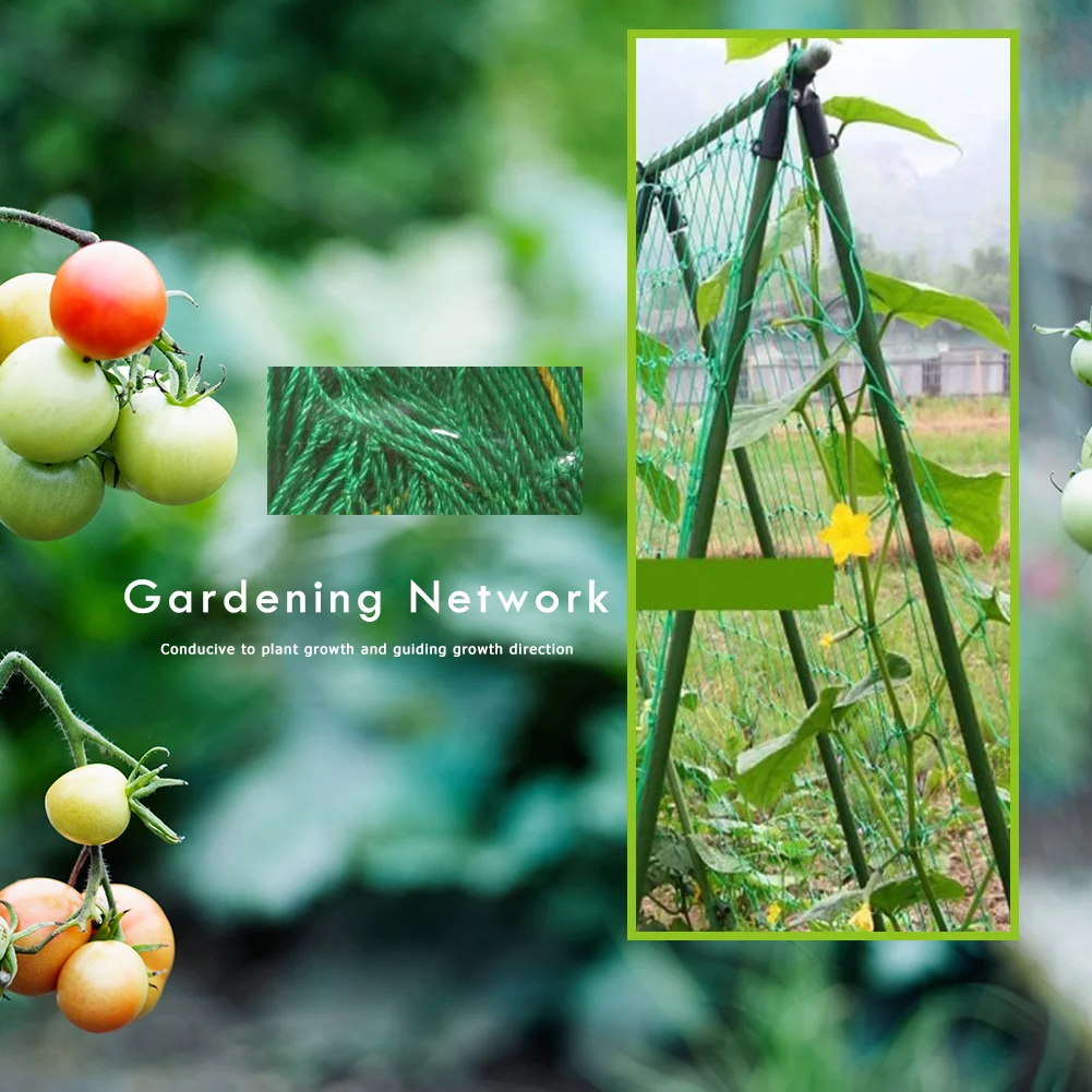 Garden Plants Climbing Netting Nylon Flower Vine Support Rope (1.8x2.7m)