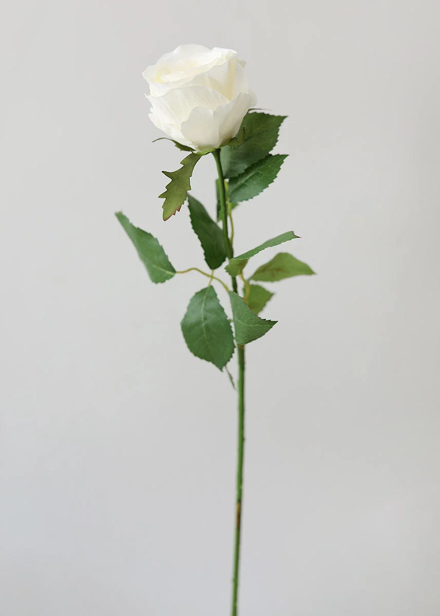 Cream Fake Cottage Rose Bud - 27.5"