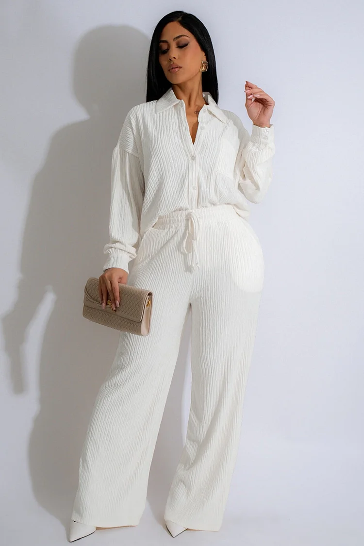 Solid Color Pleated Textured Long Sleeve Blouse Wide Leg Pants 2pcs Set-White
