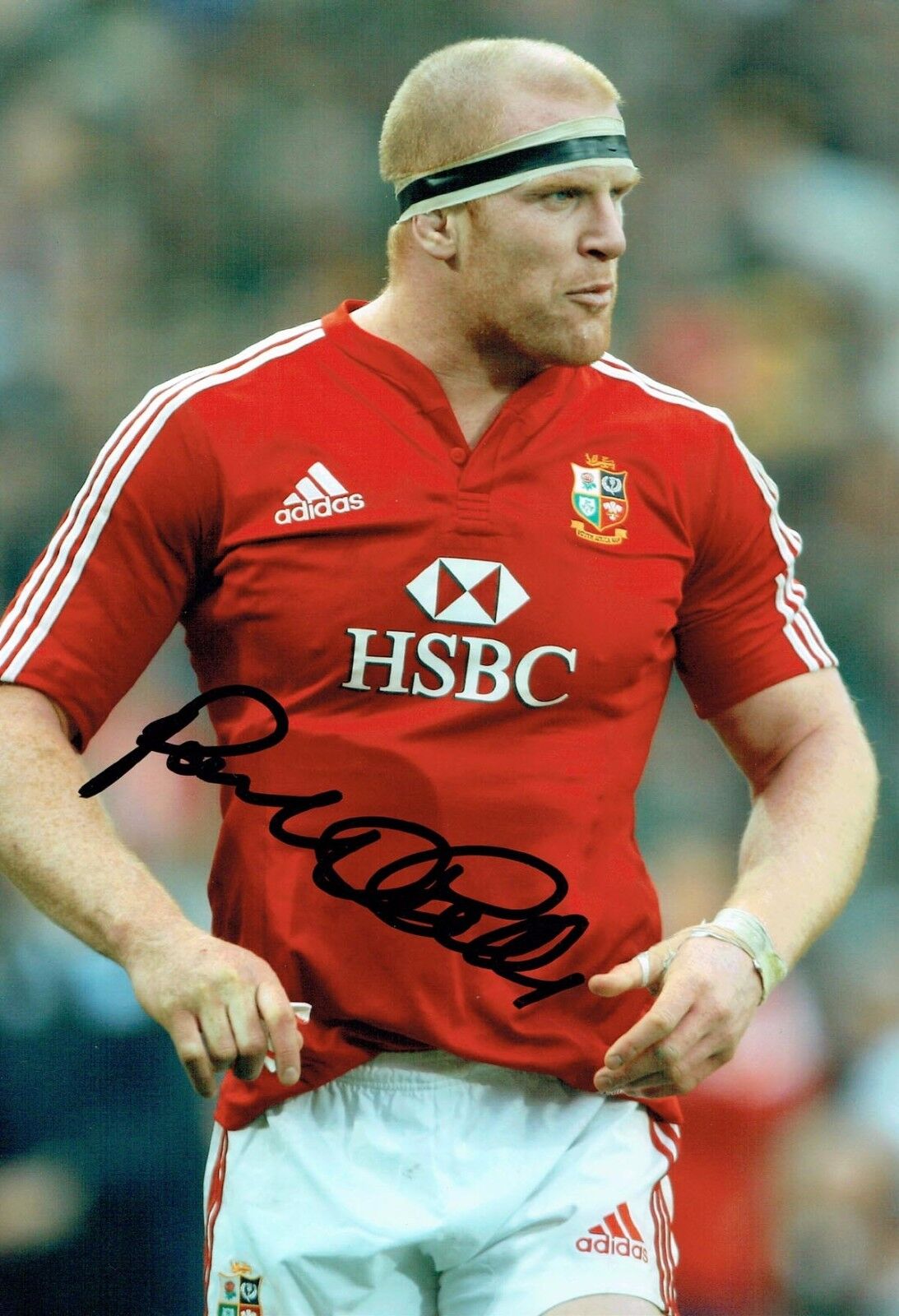 Paul O'CONNELL Signed Autograph Photo Poster painting 1 AFTAL COA British & Irish Lions RUGBY