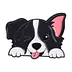 Smiling Dog Friend
