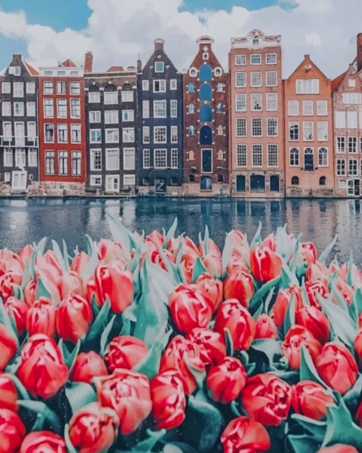 

Flowers And Buildings Amsterdam – Paint By Numbers - 40*50CM, 501 Original