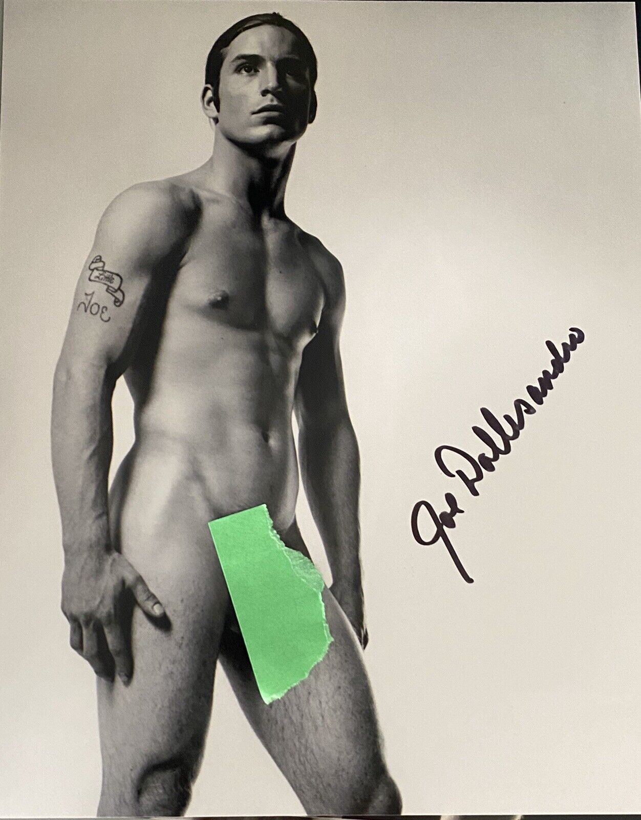 Joe Dallesandro signed Autographed 8x10 Photo Poster painting Sexy Andy Warhol nude