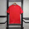 2024 Wales HomeFootball Shirt 1:1 Thai Quality