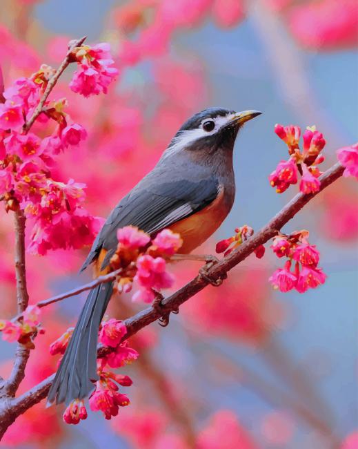 

Bird In Cherry Blossom – Paint By Numbers - 40*50CM, 501 Original