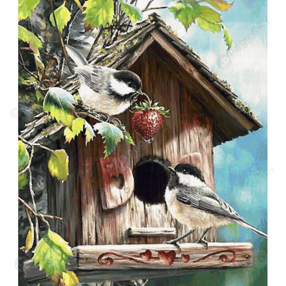

40*50CM Paint By Numbers-Bird, 501 Original