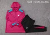 Joyfball 2024/2025 Psg Paris Saint-Germain Half-Pull Hat Style Training Suit Purple Football Shirt 1:1 Thai Quality