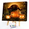 Halloween Black Cat - Paint By Numbers - 50*40CM