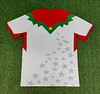 2025 Burkina Faso National Team Away Football Shirt 1:1 Thai Quality