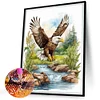 Eagle-Full Square Diamond Painting(35x45cm)