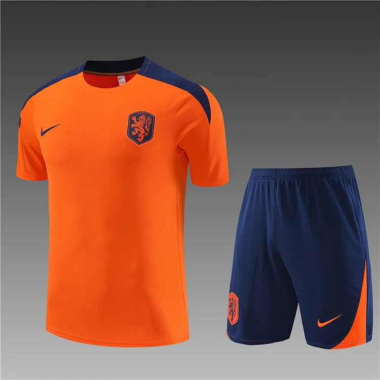 2024-25 Netherlands orange short-sleeved training jersey