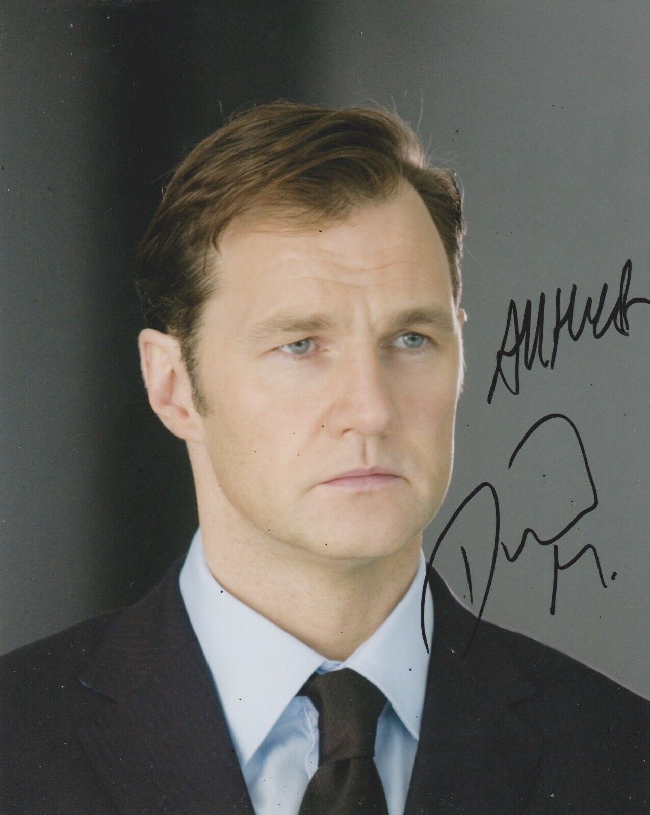 David Morrissey Signed Basic Instinct 2 10x8 Photo Poster painting AFTAL