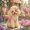 Diamond Painting-DIY Crystal Rhinestone Happy Poodle