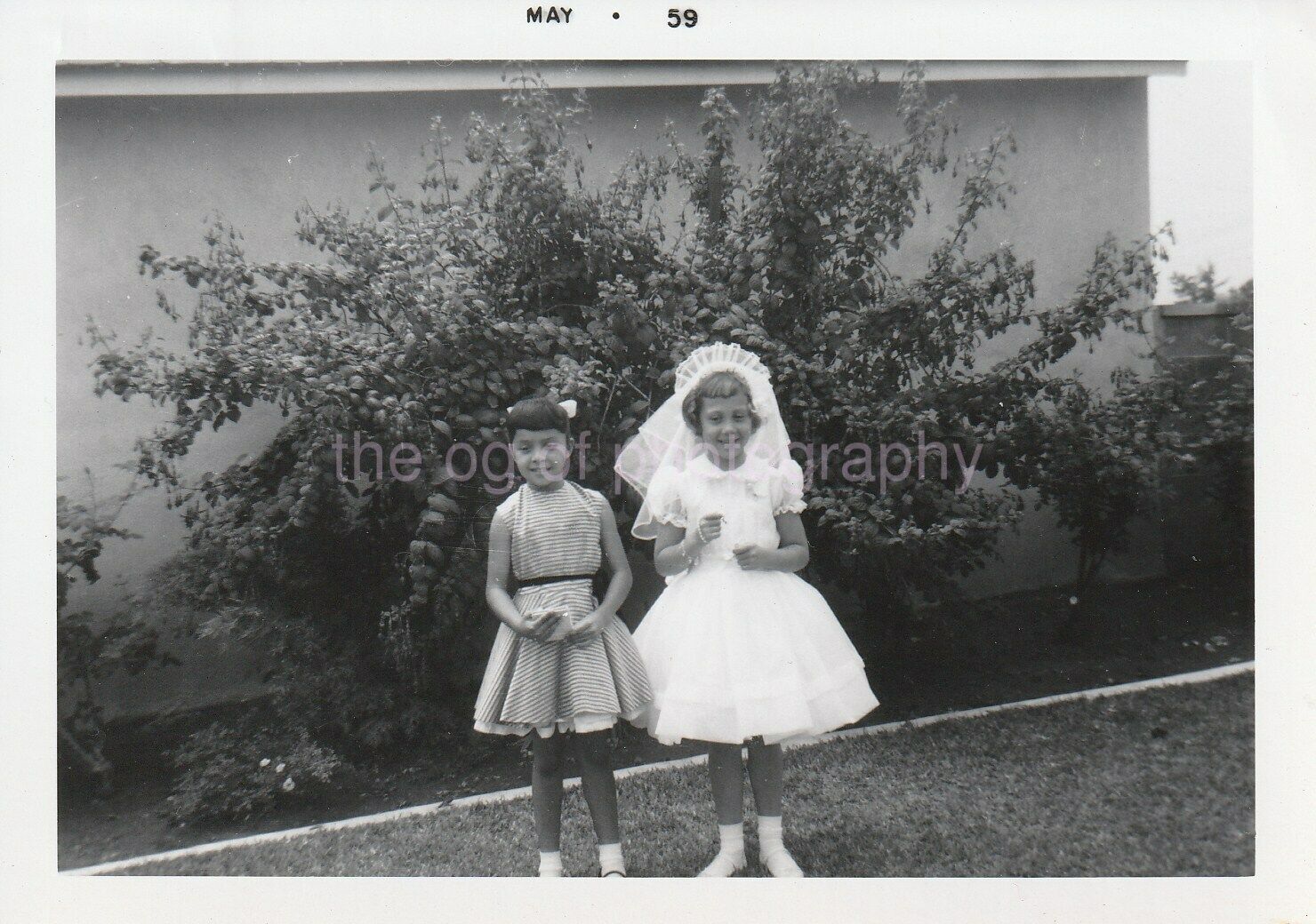 TWO GIRLS, ONE CONFIRMED 1950's FOUND Photo Poster painting bwSnapshot 97 14 F