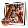 Indian Beauty - Crystal Rhinestone Diamond Painting