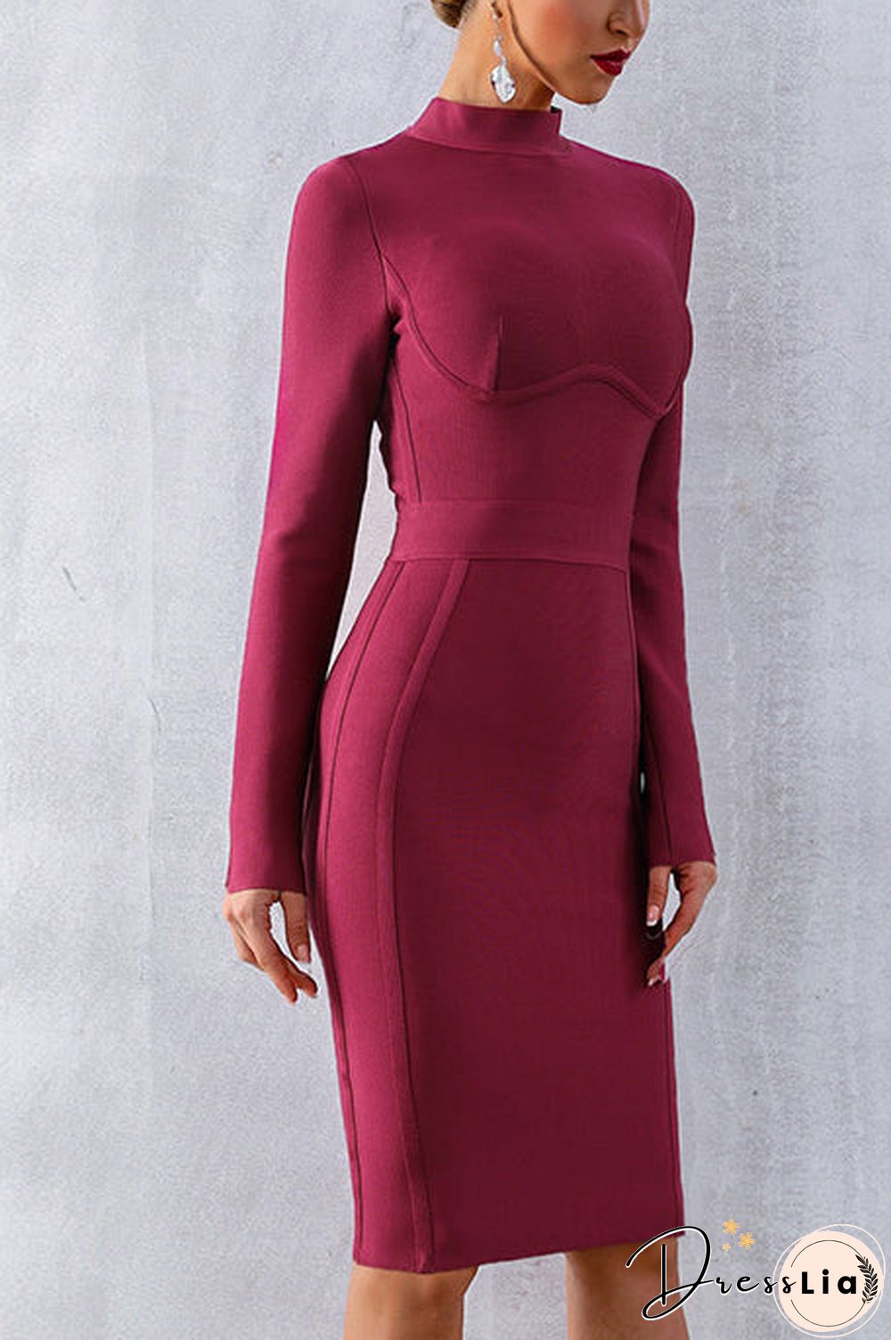 Solid High Neck Bandage Dress With Long Sleeves