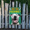 Are you puffing? - Metal Tin Signs(8*12Inch/12*16Inch) - Animal