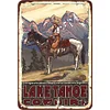 Cowgirl - Vintage Metal Signs - 20*30cm/30*40cm - Western