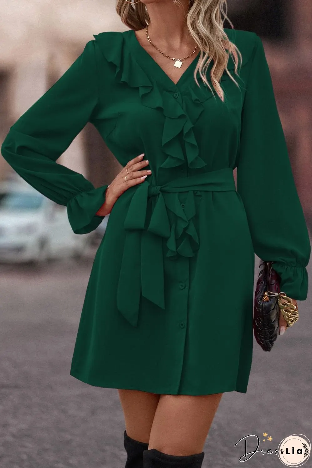 Elegant and Casual winter Dress