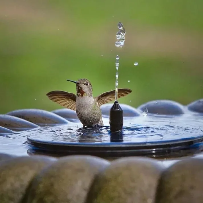 ✨Solarbetriebene schwimmende Font&auml;ne, geeignet f&uuml;r Miniatur-Gartensprinkler, Steing&auml;rten und Teiche im Freien✨