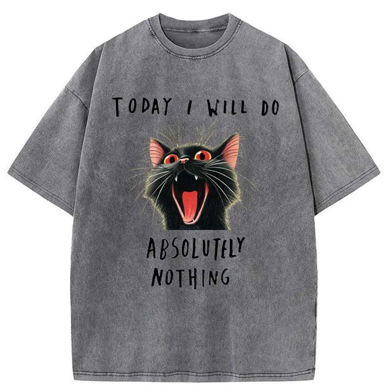Today I Will Do Absolutely Nothing Washed T-shirt artswardrobe