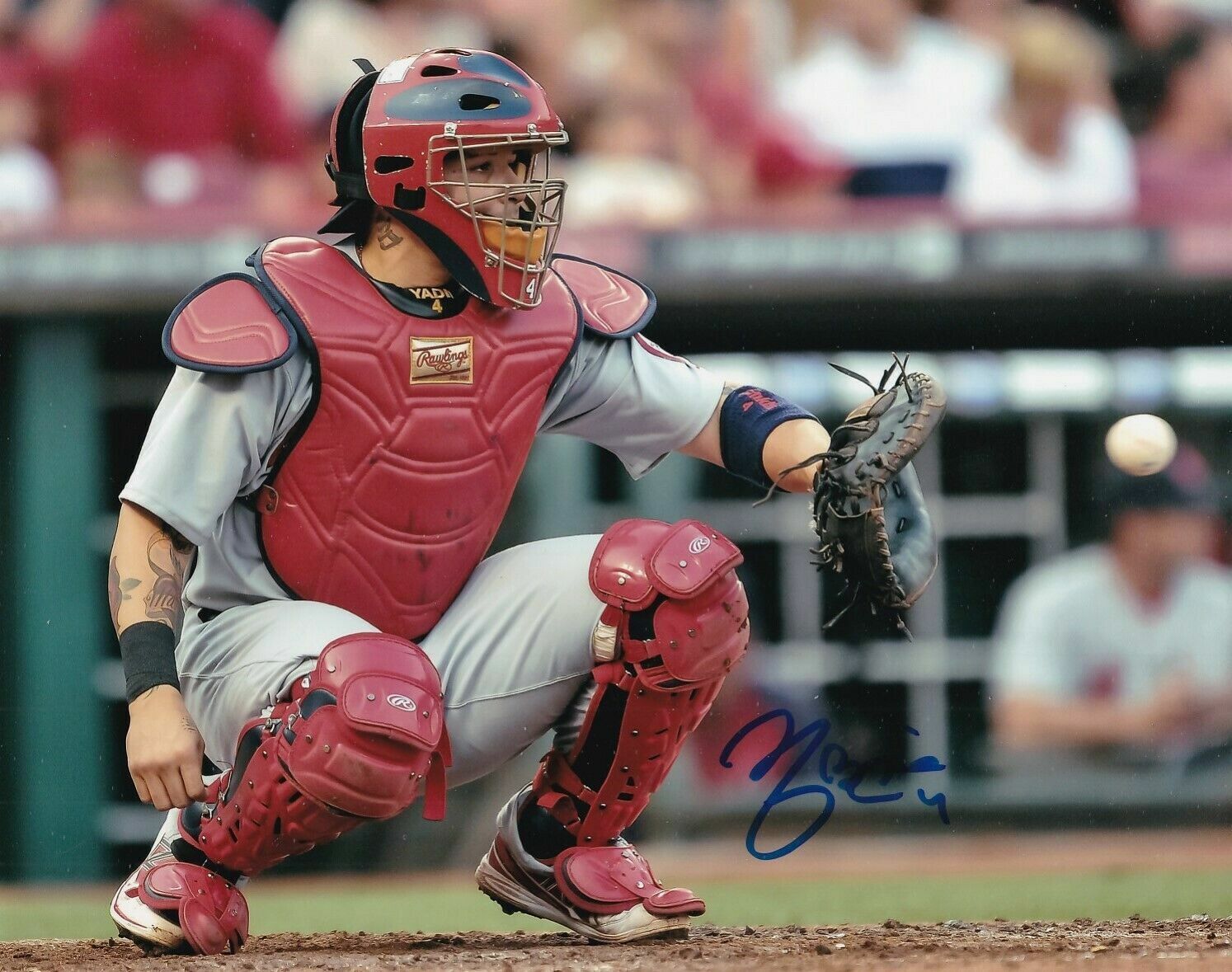 Yadier Molina Autographed Signed 8x10 Photo Poster painting ( Cardinals ) REPRINT