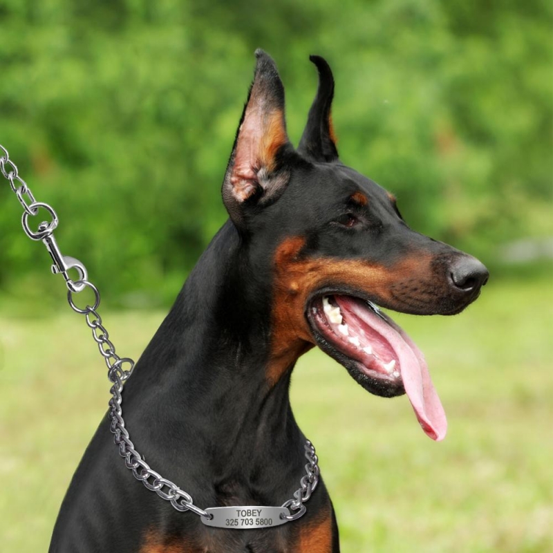 Custom Engraved ID Pet Dog Chain Collars-VESSFUL