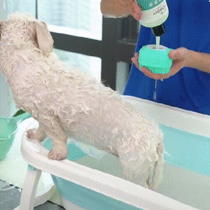 3-in-1Pet Bath Massage Brush