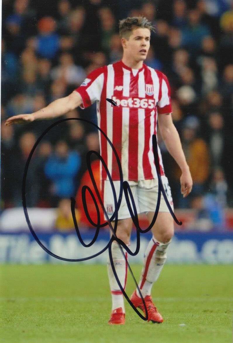 STOKE CITY HAND SIGNED MARCO VAN GINKEL 6X4 Photo Poster painting 1.