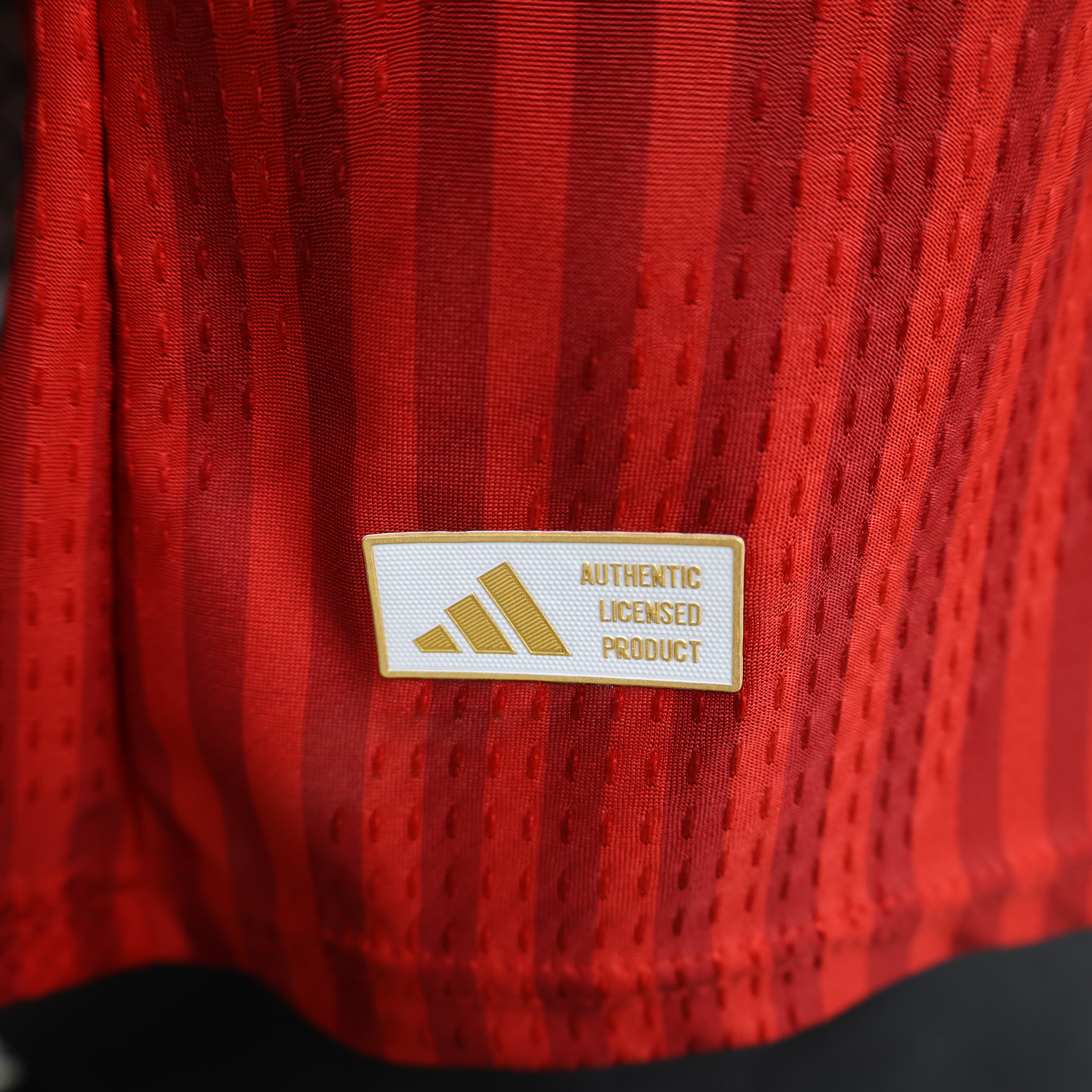 26/27 Bayern Munich Home Player Version Men Football T-Shirt Thai Quality