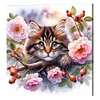 Framed Diamond Painting - Full Round Drill - Cats and Flowers (25x25cm)