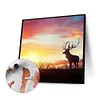 uk.everydayedeals (Limited Stock)Paint By Number - Oil Painting - Deer (40*40Cm)
