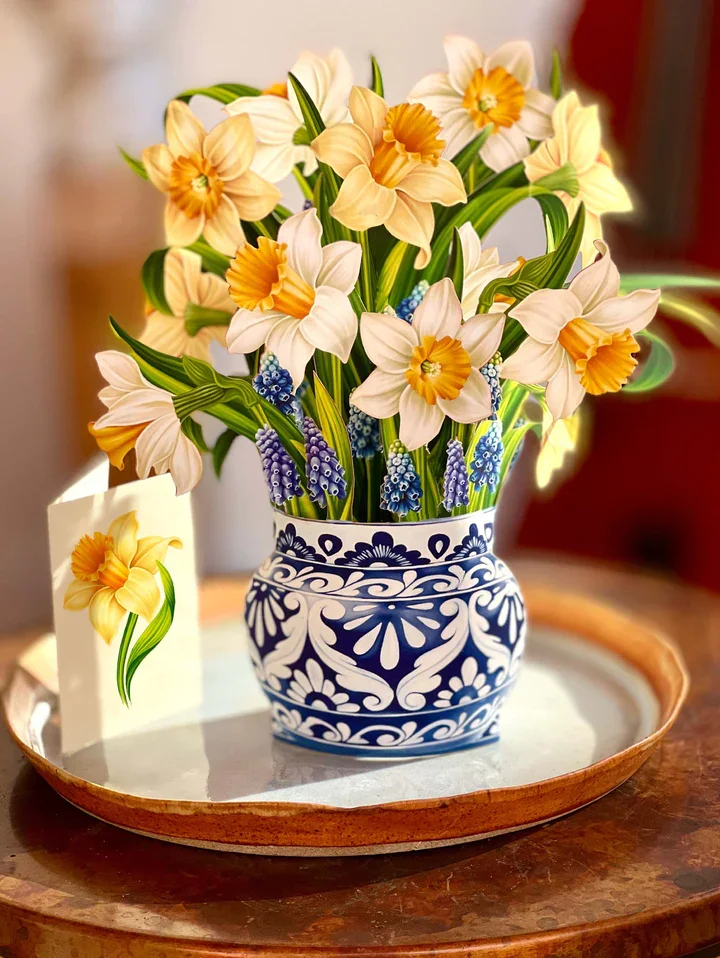 English Daffodils
